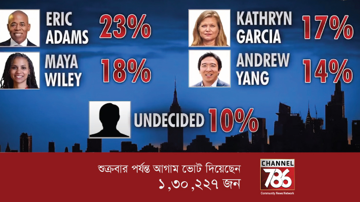ডেমোক্রেটিক প্রাইমারিতে আগাম ভোটের হিড়িক ডেমোক্রেটিক প্রাইমারিতে আগাম ভোটের হিড়িক