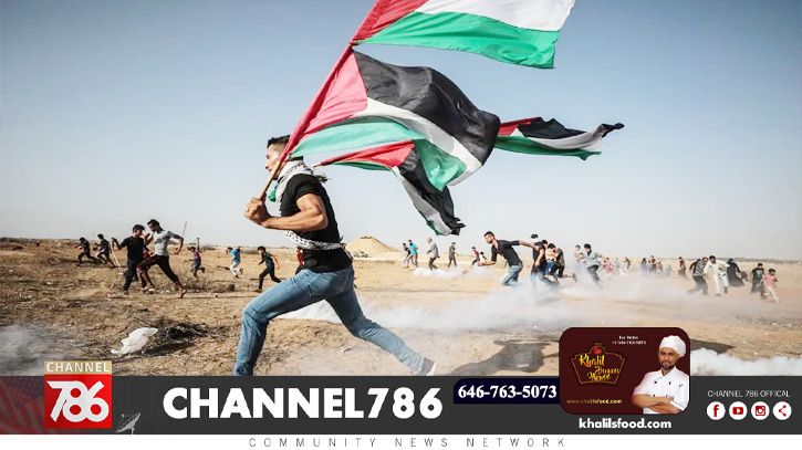 UMR extended its help to the injured Palestinians UMR extended its help to the injured Palestinians